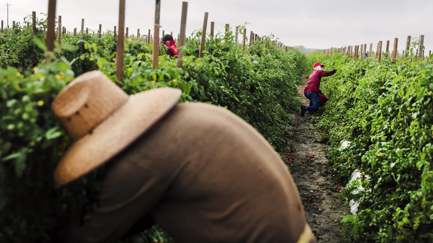  소개: 신체 문제