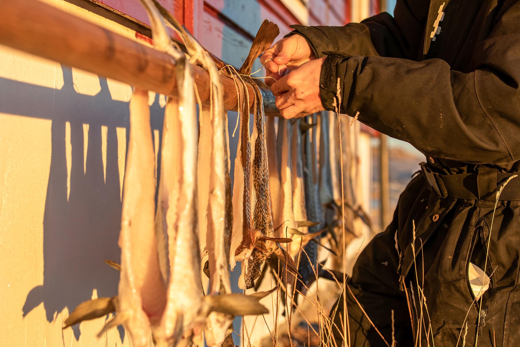 나는 세계에서 가장 위험한 명절 요리를 마주했다. 말 그대로 독으로 만들어진 요리
