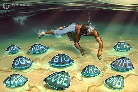 11/19 가격 예측: BTC, ETH, XRP, BNB, SOL, DOGE, ADA, HYPE, BCH, ZEC