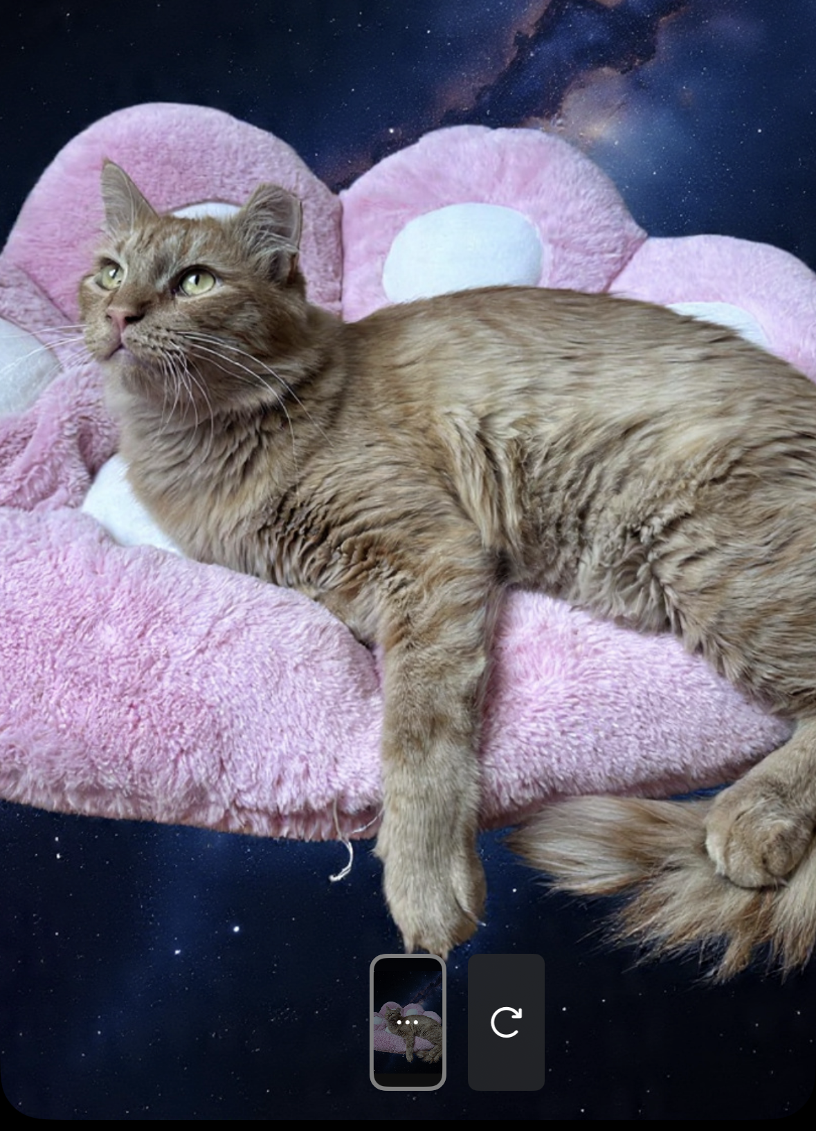 Instagram Stories에 새로운 AI 기반 편집 도구가 추가되었습니다