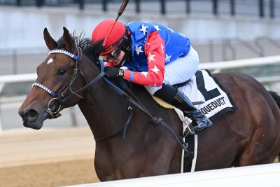 Aqueduct, Churchill Downs, Woodbine, 주말 중상 경주 제안