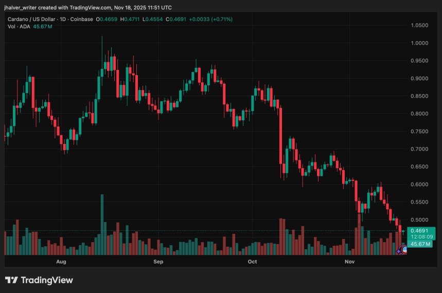 위기에 처한 Cardano: ADA 위험이 $0.43~$0.30 범위로 떨어지면서 고래 손실로 인해 매도세가 촉발됨