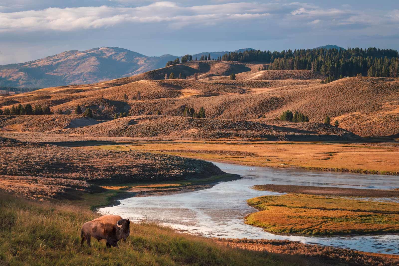 미국 최고의 국립공원: 모든 여행자를 위한 25개 이상의 공원 안내
